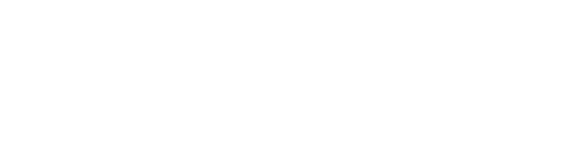 Logo Domo'tech Elec